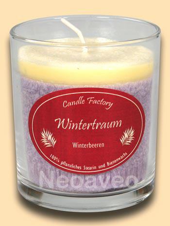 Wintertraum Party Light